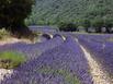 Les Hauts De Greoux - Hotel